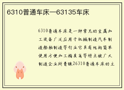 6310普通车床—63135车床